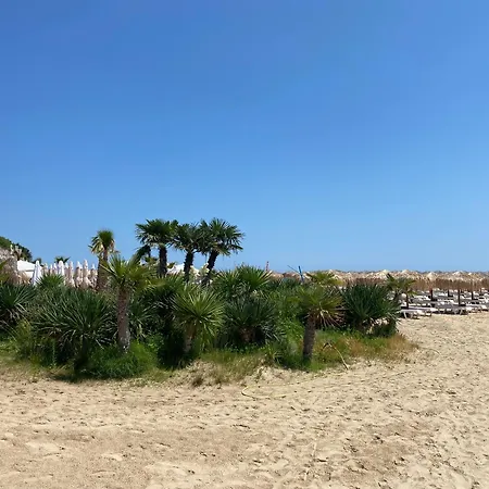 Horizon 34 'б-' * سفيتي فلاس